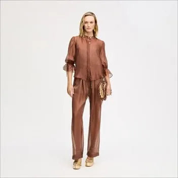 Sheer Blouson Sleeve Shirt