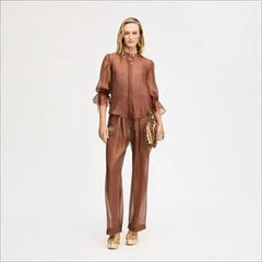 Sheer Blouson Sleeve Shirt