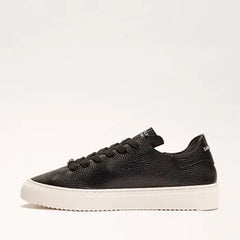 Poppy Lace Up Sneaker